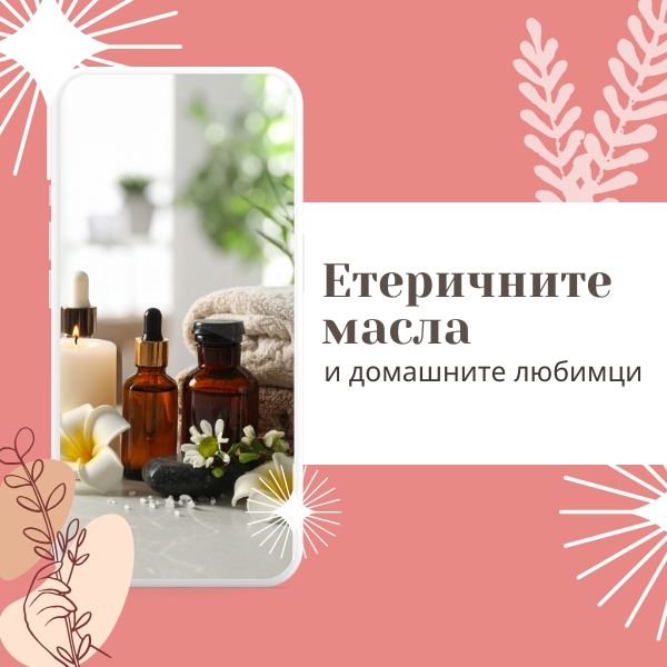 Етеричните масла и домашните любимци: Ръководство за безопасна употреба у дома